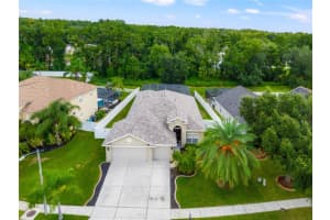 23751 HASTINGS WAY, LAND O LAKES, FL 34639 Sold 09/03/24