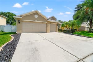 23751 HASTINGS WAY, LAND O LAKES, FL 34639 Sold 09/03/24