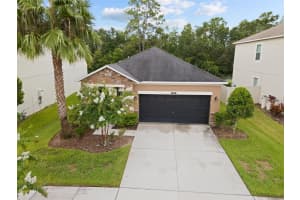 21456 WISTFUL YEARN DRIVE, LAND O LAKES, FL 34637 Sold 10/30/24