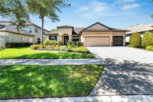 8007 HAMPTON LAKE DRIVE, TAMPA, FL 33647 Sold 09/05/24