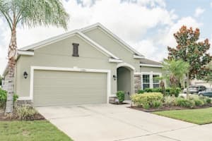 33080 SHADOW BRANCH LANE, WESLEY CHAPEL, FL 33545 Sold 11/21/24