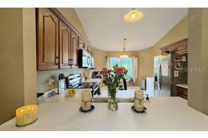 13203 SILVERCREEK DRIVE, RIVERVIEW, FL 33579 Sold 11/08/24