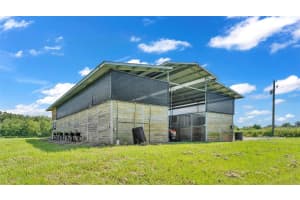 17624 COUNTY ROAD 672, LITHIA, FL 33547 Sold 11/04/24
