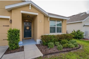 9805 WARM STONE STREET, THONOTOSASSA, FL 33592 Sold 09/29/24