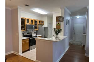18149 BRIDLE CLUB DRIVE, TAMPA, FL 33647 Sold 10/29/24