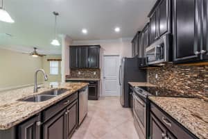 13107 GREEN VIOLET DRIVE, RIVERVIEW, FL 33579 Sold 09/25/24
