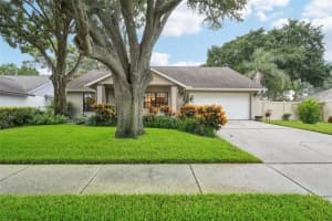 15028 REDCLIFF DRIVE, TAMPA, FL 33625 Sold 10/31/24