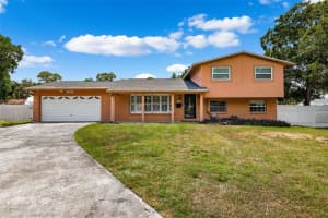 7728 ELM STREET, TAMPA, FL 33615 Sold 12/06/24