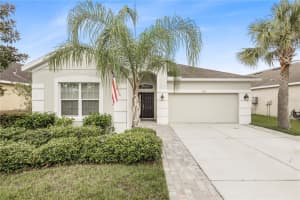 17525 BRIGHT WHEAT DRIVE, LITHIA, FL 33547 Sold 12/02/24