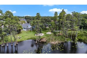 9121 CYPRESS KEEP LANE, ODESSA, FL 33556 Sold 09/25/24