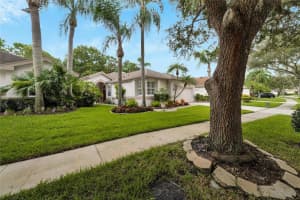 12114 GLENCLIFF CIRCLE, TAMPA, FL 33626 Sold 12/06/24