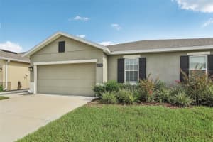 17770 TURNING LEAF CIRCLE, LAND O LAKES, FL 34638 Sold 12/06/24