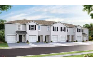 33032 REGENT CANAL STREET, WESLEY CHAPEL, FL 33545 Sold 11/24/24