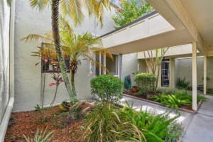 13516 PALMWOOD LANE, TAMPA, FL 33618 Sold 12/12/24