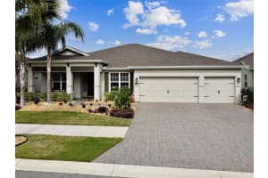 11785 LAKE LUCAYA DRIVE, RIVERVIEW, FL 33579 Sold 03/31/25