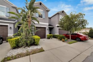 6628 CITRUS CREEK LANE, TAMPA, FL 33625 Sold 01/29/25