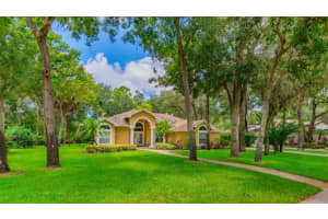5831 AUDUBON MANOR BOULEVARD, LITHIA, FL 33547 Sold 11/09/24