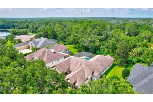6133 KESTRELRIDGE DRIVE, LITHIA, FL 33547 Sold 09/27/24