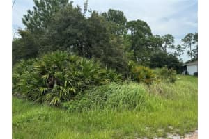 1238 APOPKA LANE, KISSIMMEE, FL 34759 - MLS#MFRT3547582