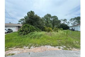 1238 APOPKA LANE, KISSIMMEE, FL 34759 - MLS#MFRT3547582