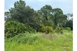 1238 APOPKA LANE, KISSIMMEE, FL 34759 - MLS#MFRT3547582