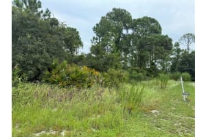 1238 APOPKA LANE, KISSIMMEE, FL 34759 - MLS#MFRT3547582