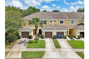 8554 TRAIL WIND DRIVE, TAMPA, FL 33647 Sold 02/27/25
