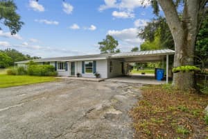 6708 KNIGHTS GRIFFIN ROAD, PLANT CITY, FL 33565 Sold 10/28/24