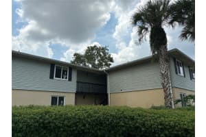 217 THORN TREE PLACE, BRANDON, FL 33510 Sold 01/03/25