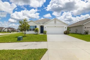 15882 MAUVEWOOD AVENUE, ODESSA, FL 33556 Sold 11/01/24