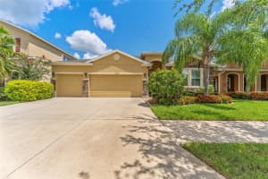 13428 CANOPY CREEK DRIVE, TAMPA, FL 33625 Sold 03/06/25