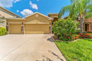 13428 CANOPY CREEK DRIVE, TAMPA, FL 33625 Sold 03/06/25