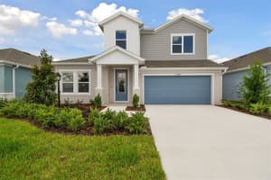 11361 HARDWOOD HAMMOCK LANE, RIVERVIEW, FL 33569 Sold 12/31/24