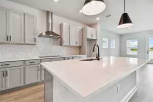 11361 HARDWOOD HAMMOCK LANE, RIVERVIEW, FL 33569 Sold 12/31/24