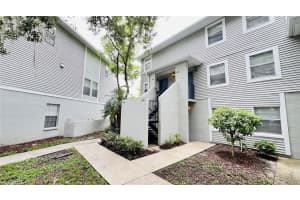 7156 BANK DRIVE, TAMPA, FL 33617 - MLS#MFRT3547873