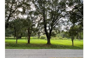 29956 NEW DUTCH LANE, WESLEY CHAPEL, FL 33545 - MLS#MFRT3547929