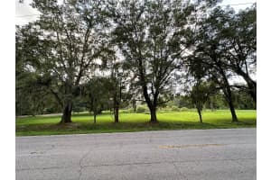 29956 NEW DUTCH LANE, WESLEY CHAPEL, FL 33545 - MLS#MFRT3547929
