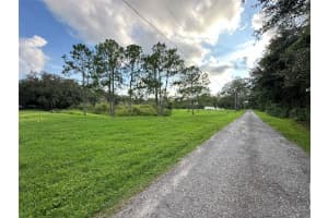 29956 NEW DUTCH LANE, WESLEY CHAPEL, FL 33545 - MLS#MFRT3547929