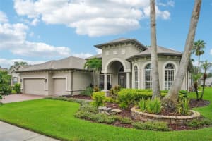 27040 WINGED ELM DRIVE, WESLEY CHAPEL, FL 33544 Sold 11/01/24