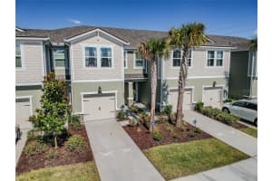 17813 STELLA MOON PLACE, LUTZ, FL 33558 Sold 12/03/24