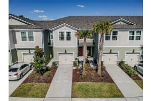 17813 STELLA MOON PLACE, LUTZ, FL 33558 Sold 12/03/24