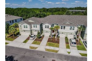 17813 STELLA MOON PLACE, LUTZ, FL 33558 Sold 12/03/24