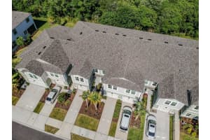 17813 STELLA MOON PLACE, LUTZ, FL 33558 Sold 12/03/24