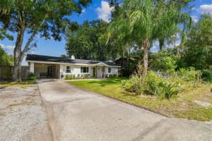 11532 FOREST HILLS DRIVE, TAMPA, FL 33612 Sold 11/13/24