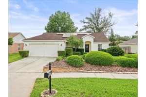 15007 TRAIL CREEK PLACE, TAMPA, FL 33625 Sold 11/14/24