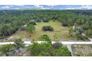 12152 & 12160 DRY CREEK RANCH ROAD, BROOKSVILLE, FL 34614 Sold 01/24/25