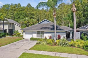 5937 BIRCHWOOD DRIVE, TAMPA, FL 33625 Sold 11/14/24