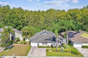 5937 BIRCHWOOD DRIVE, TAMPA, FL 33625 Sold 11/14/24