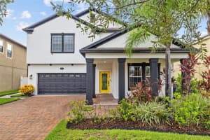 19428 PADDOCK VIEW DRIVE, TAMPA, FL 33647 Sold 11/27/24