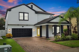 19428 PADDOCK VIEW DRIVE, TAMPA, FL 33647 Sold 11/27/24